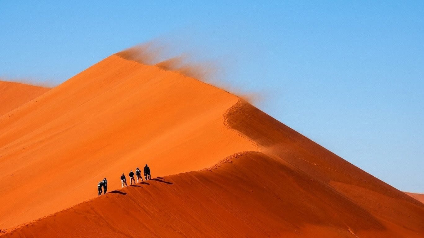 Leer las arenas del desierto: la sabiduría ancestral que protege la fauna de Australia
