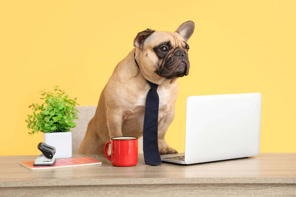 ¿Por qué los sitios web insisten en que demuestres que eres humano?